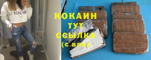 дживик Лагань
