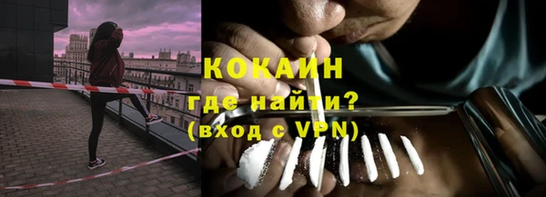 дживик Лагань