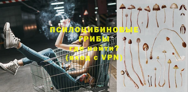 дживик Лагань