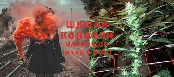 дживик Лагань